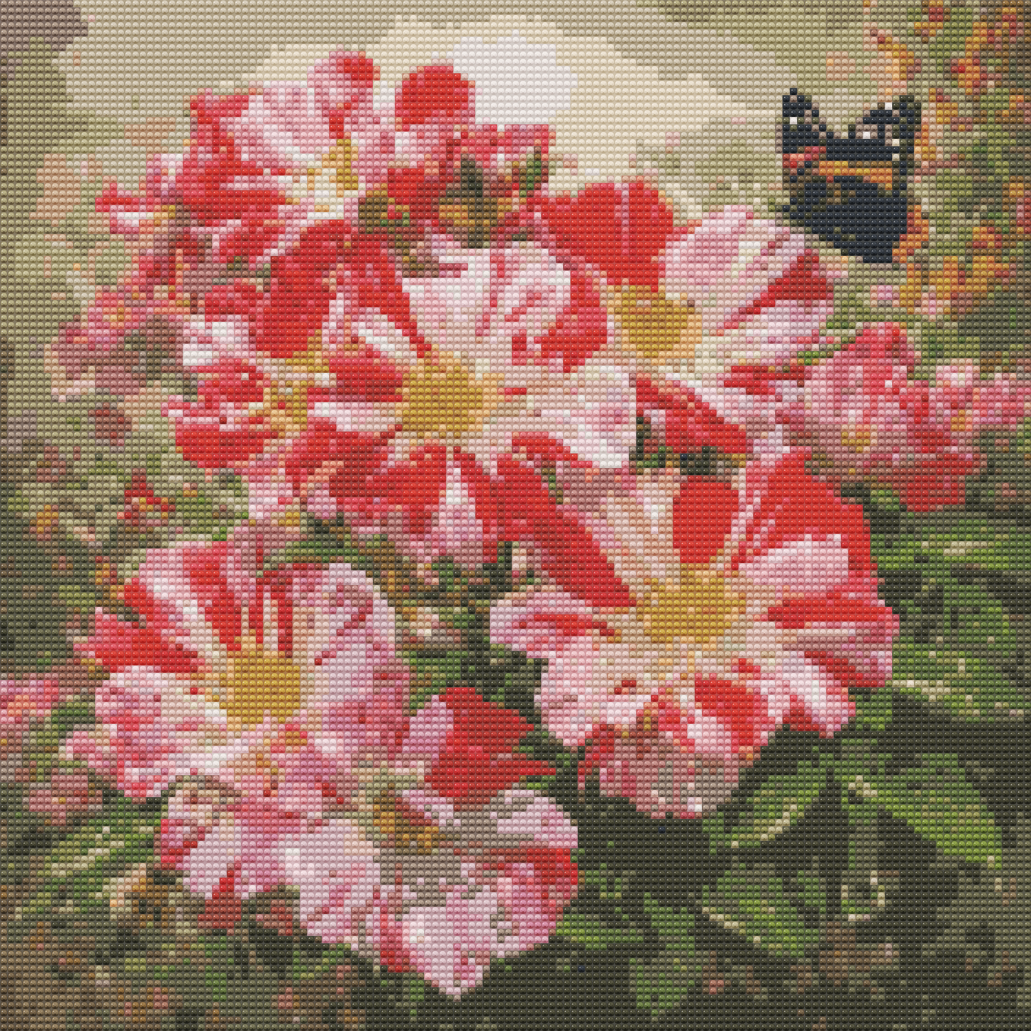 Fourth of July Climbing Rose